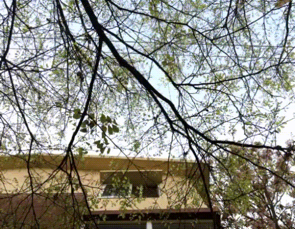 Wilderness // निर्जन&nbsp;प्रदेश