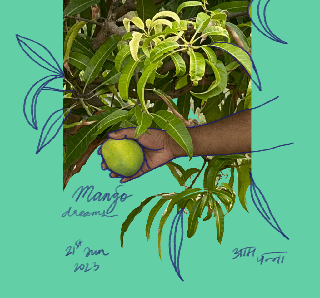 एक आम दिन