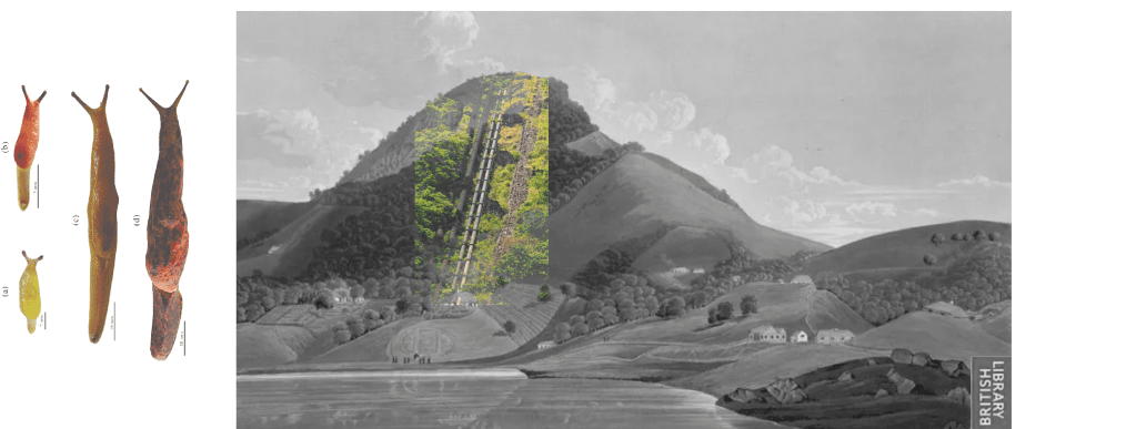 where are we&nbsp;at?